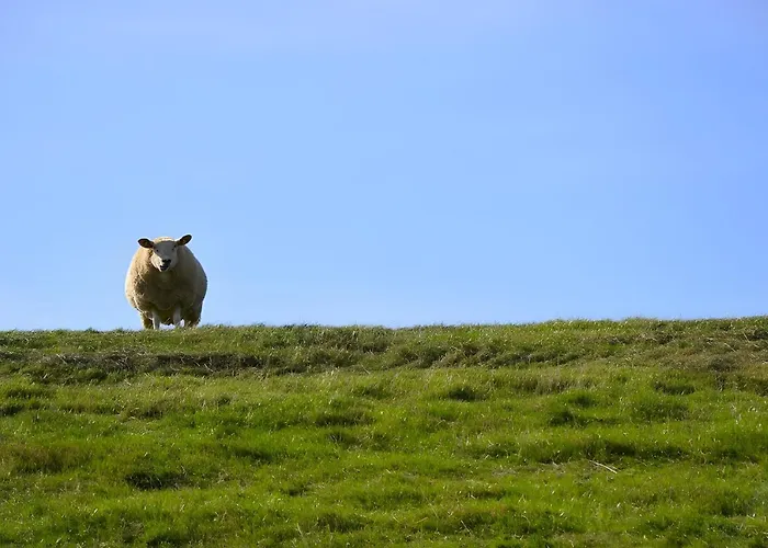 Apartamento Fischerhus Anne Jensen